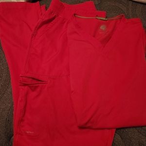 Healing Hands Scrub Set